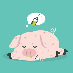 Sick Pig  Swine Flu a vaccination