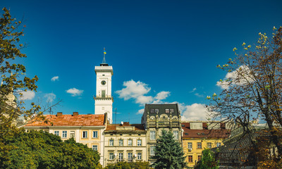 Fototapeta premium touristic concept photography of old European city medieval architecture building facades and main hall tower on blue sky background and tree branches natural frame foreground, copy space