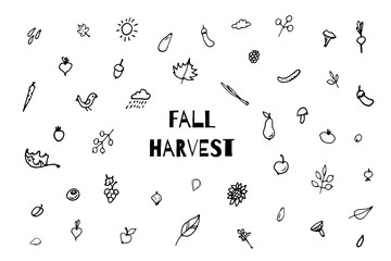 Collection of autumn  doodles. Fall harvest, love autumn. Vector stock set. Cute icons for postcards, greetings, cards, logo, coloring book. Food background. Hand drawn design elements. 