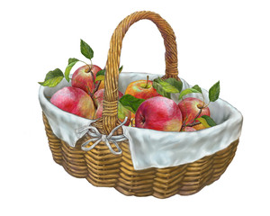 Fruit basket , apples on isolated white background ,digital painting