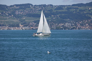 Obraz premium Deportes