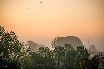 dawn in a city with red sky in autumnal colors