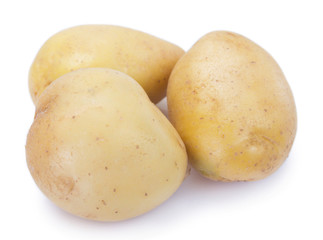 Raw potato on white background