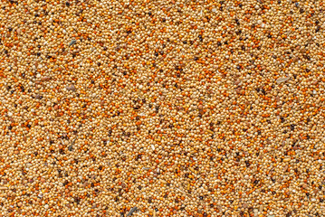 Bird seeds texture. Healthy cereal mixture for budgerigar, fullframe top view background.