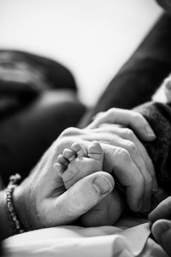 7 622 Best Pieds Images Stock Photos Vectors Adobe Stock 7 622 Best Pieds Images Stock Photos Vectors Adobe Stock