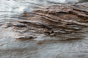 The texture of the old wooden surface is deteriorated and decayed naturally.