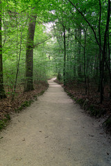 Franconian Switzerland, a picturesque region in Bavaria, is known for its unique natural landscape characterized by majestic cliffs, caves and castles. 