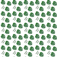  Monstera leaf seamless pattern. Tropical leaves on a white background.