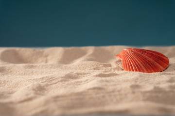 Sea shore, card for a travel agency, sand shell, blue ocean, sun vacation and relaxation.