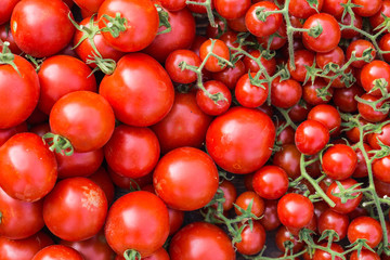 Ripe tomatoes on a wooden tray. On the grass
