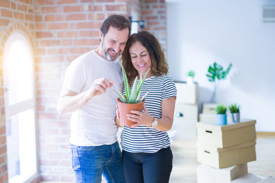 Middle age senior romantic couple holding aloe vera plant smiling happy for moving to a new house