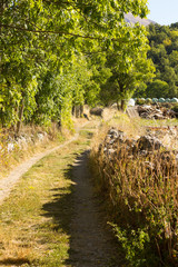 Fototapeta premium Camino de alta montaña en el pirineo de Huesca, Aragón; Navarra