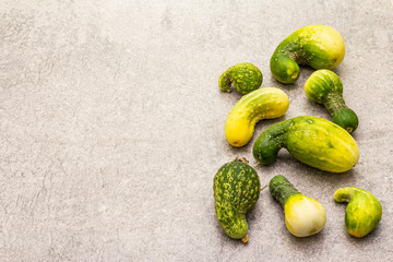 Trendy ugly organic vegetables. Fresh cucumber