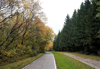 Path in the park, autumnal yellow leaves, Vilnius Lithuania