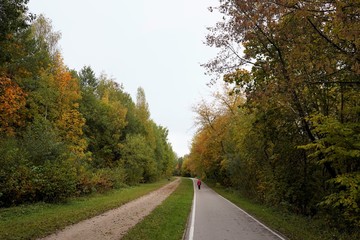 Lonely woman waking on the path in the park, seen from behind. Vilnius Lithuania 