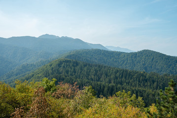 Mountain landscape in Carpathians. With high green hills and forest