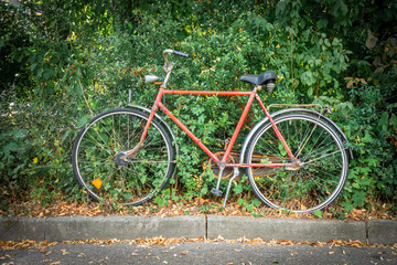 Fototapeta na wymiar old bicycle in a hedge