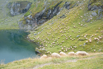 Breathtaking landscape in Carpathian mountains. With high green hills, rocks and lake