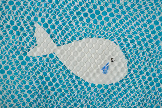 Fish in fish net