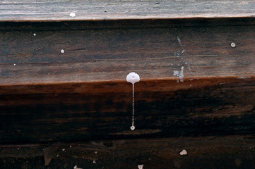 White Paint Drop Spilled on a Dusty Wooden Frame with Paint and Glue Spots on It. Messy Renovation Concept.