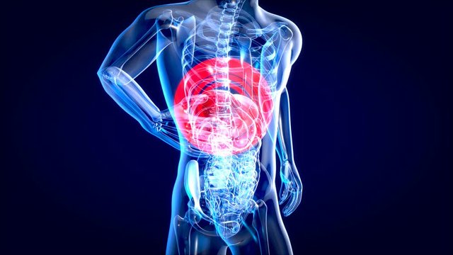 3D motion design of a liver anatomy concept