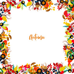 Autumn vector frame with berries, acorns, pine cone, mushrooms, branches and leaves.