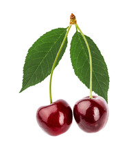 Cherry with green leaves  isolated on white background with clipping path