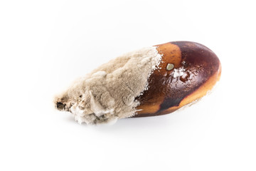 Obraz premium A rotten eggplant. Spoiled vegetable, unfit to eat.