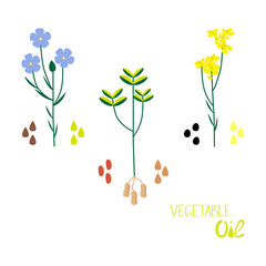 A set of vegetable oils of different types. Flat vector illustration of linenseed, colza, peanut oil.