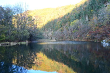lake in autumn forest
