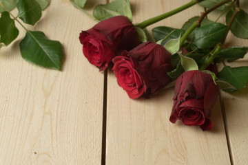 Bouquet of red roses arranged on wooden background
