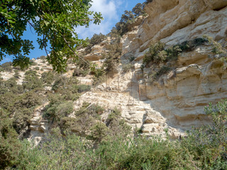 Naklejka premium Avakas Gorge in Cyprus