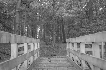 A black  and white shot of a wooden bridge in an old wooded area