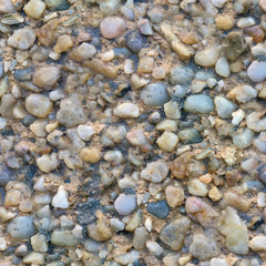 Seamless texture of colorful pebbles on the beach
