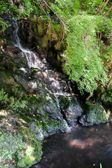 waterfall in the forest