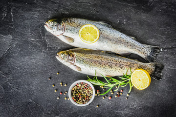 Fresh trout on dark table with salt pepper and rosemary. Tasty fish prepare for eating.