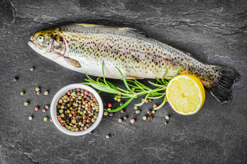 Fresh trout on dark table with salt pepper and rosemary. Tasty fish prepare for eating.