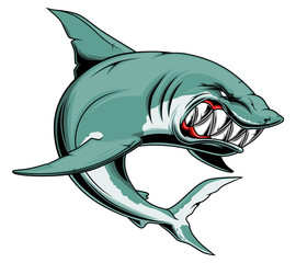 Fototapeta Angry shark with sharp teeth obraz
