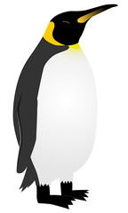 Illustration of standing emperor penguin