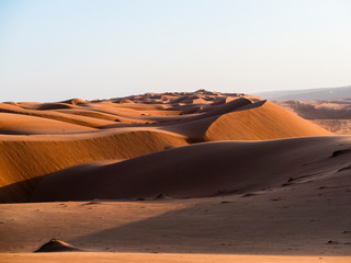 Fototapeta na wymiar Middle East, Arabia, Sultanate of Oman, Al Raka, sand dunes of the Rimal Al Wahiba desert, in the evening light