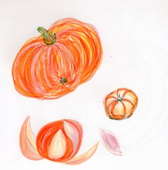 Pumpkin auorange tumn harvest . Hallowmas.brightness of the holiday food