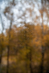 Autumn. Rain drop on the window glass with yellow leaves in background