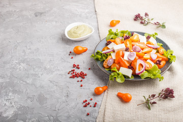 Vegetarian salad with fresh grape tomatoes, feta cheese, lettuce and onion on gray concrete background, side view.