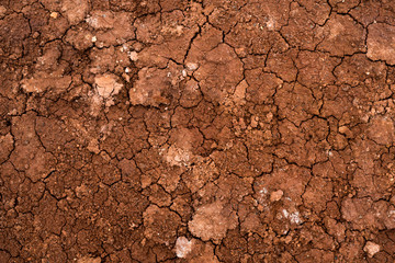 Texture of dried cracked clay. Macro background image of dried clay