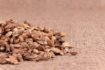 A detailed photo of small heap of spiny dry seeds on textured textile