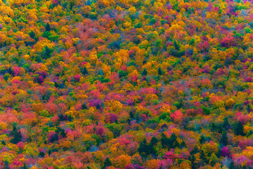 Obraz na płótnie Canvas White Mountains, New Hampshire during autumn leaves.