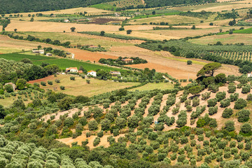 Fototapeta na wymiar Maremma landscape from Capalbio, Tuscany