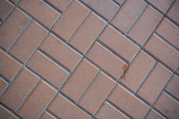 Texture of paving slabs overgrown with grass. Background image of a stratum stone