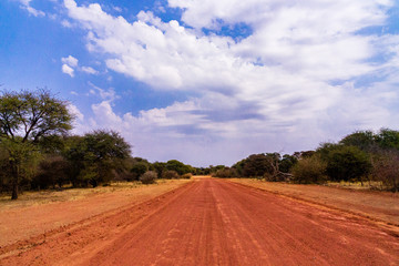 Fototapeta na wymiar Namibia NamibRand nature reserve offroad track near watergerb
