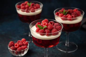 Vanilla panna cota and raspberry jelly dessert